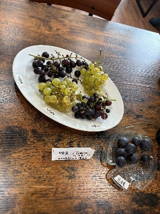 ぶどうの味見