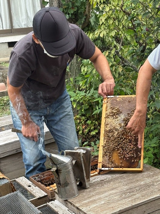 はちみつを作っている様子