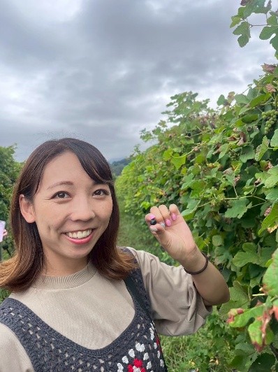 ぶどうを摘んでいる様子