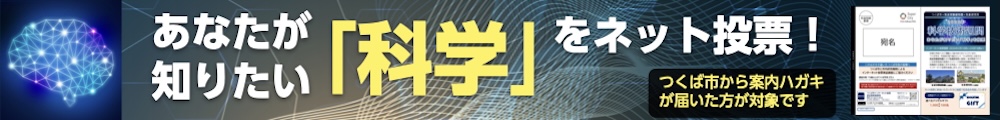 2025年度インターネット第三弾のご案内