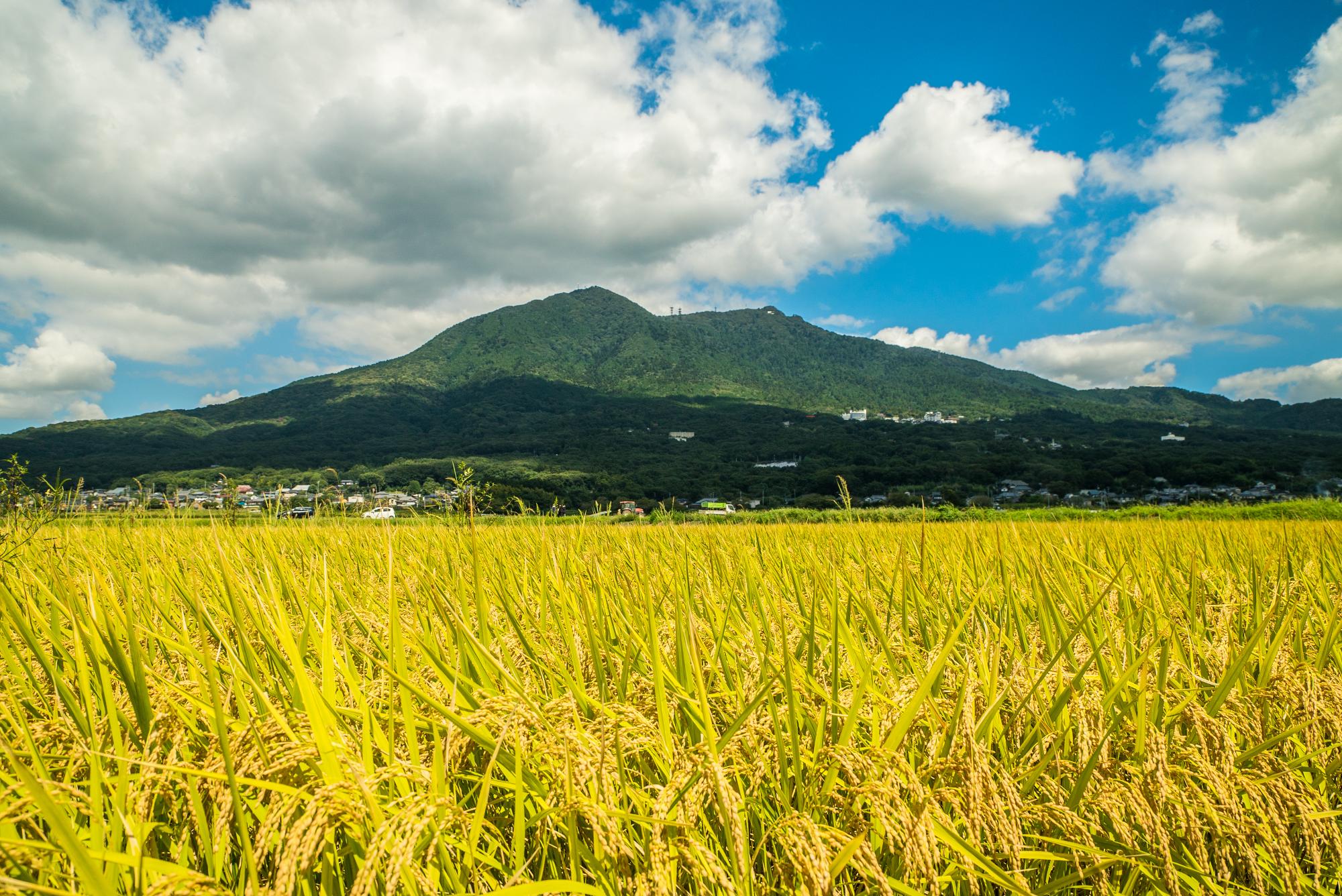 秋の筑波山