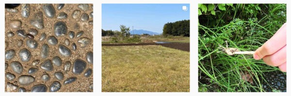 「あそび」の写真3