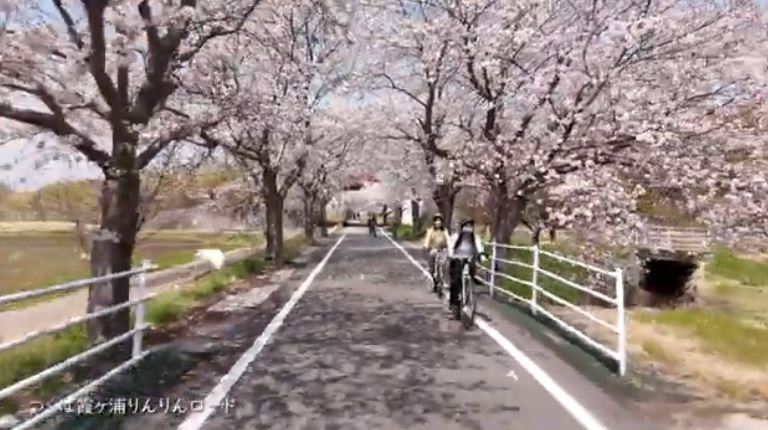 つくば霞ヶ浦りんりんロード