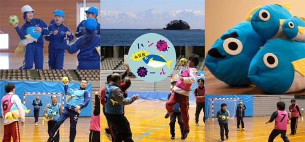 ハンぎょボールイメージ図