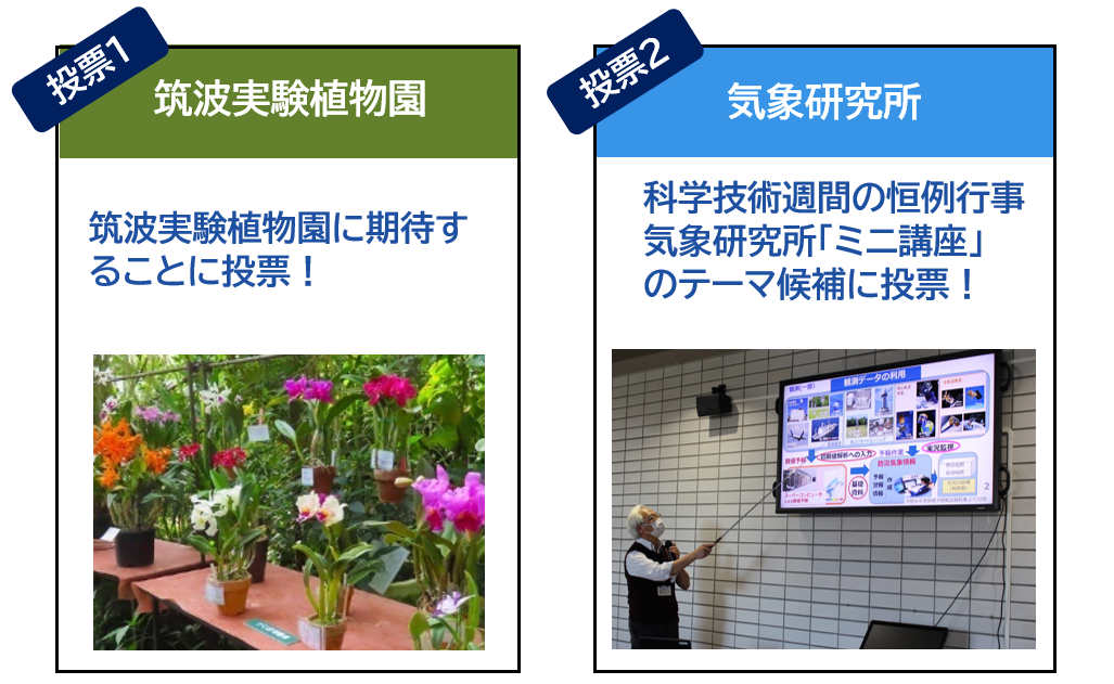 投票テーマ紹介