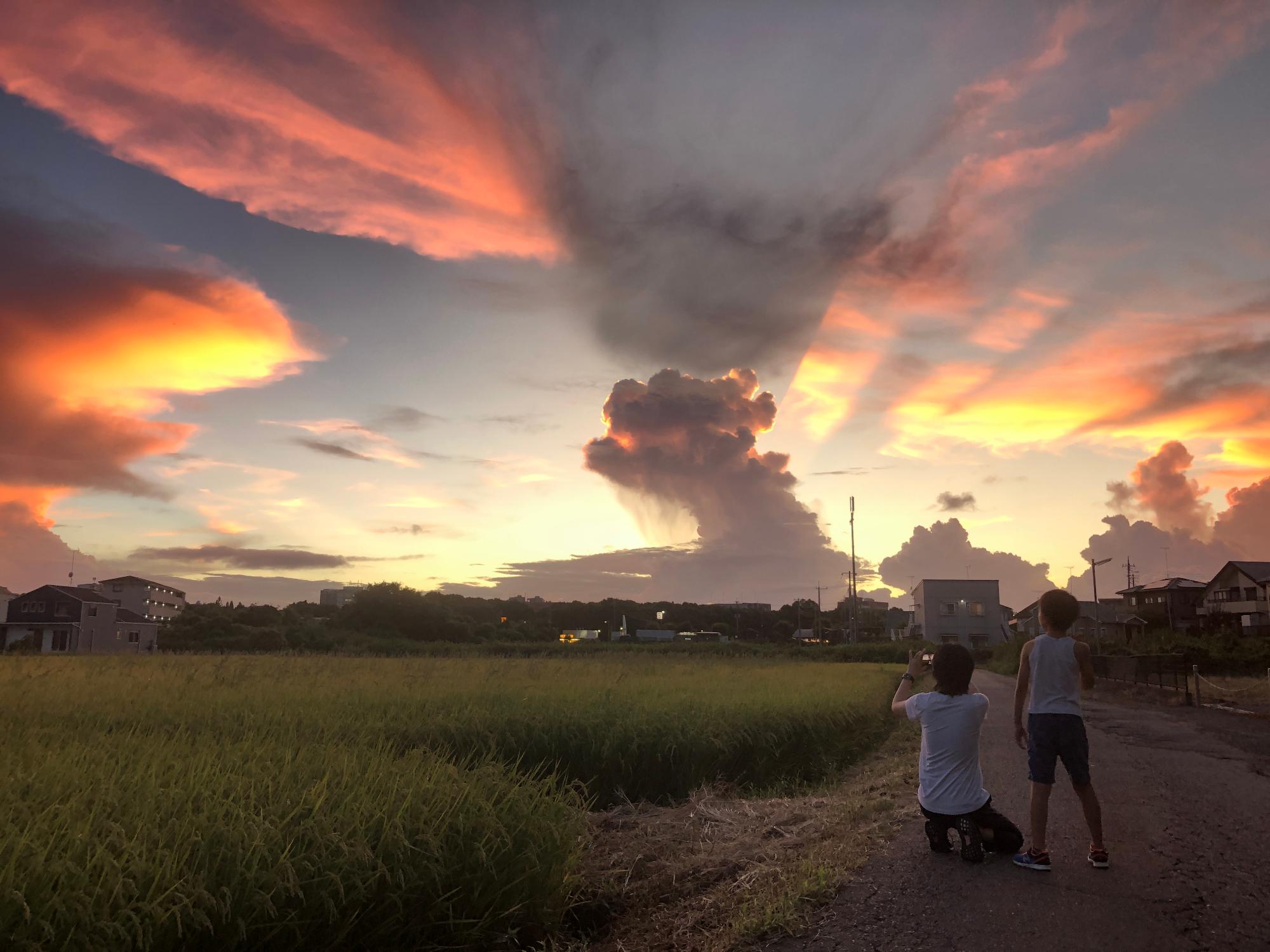 夏休みが終わるよ