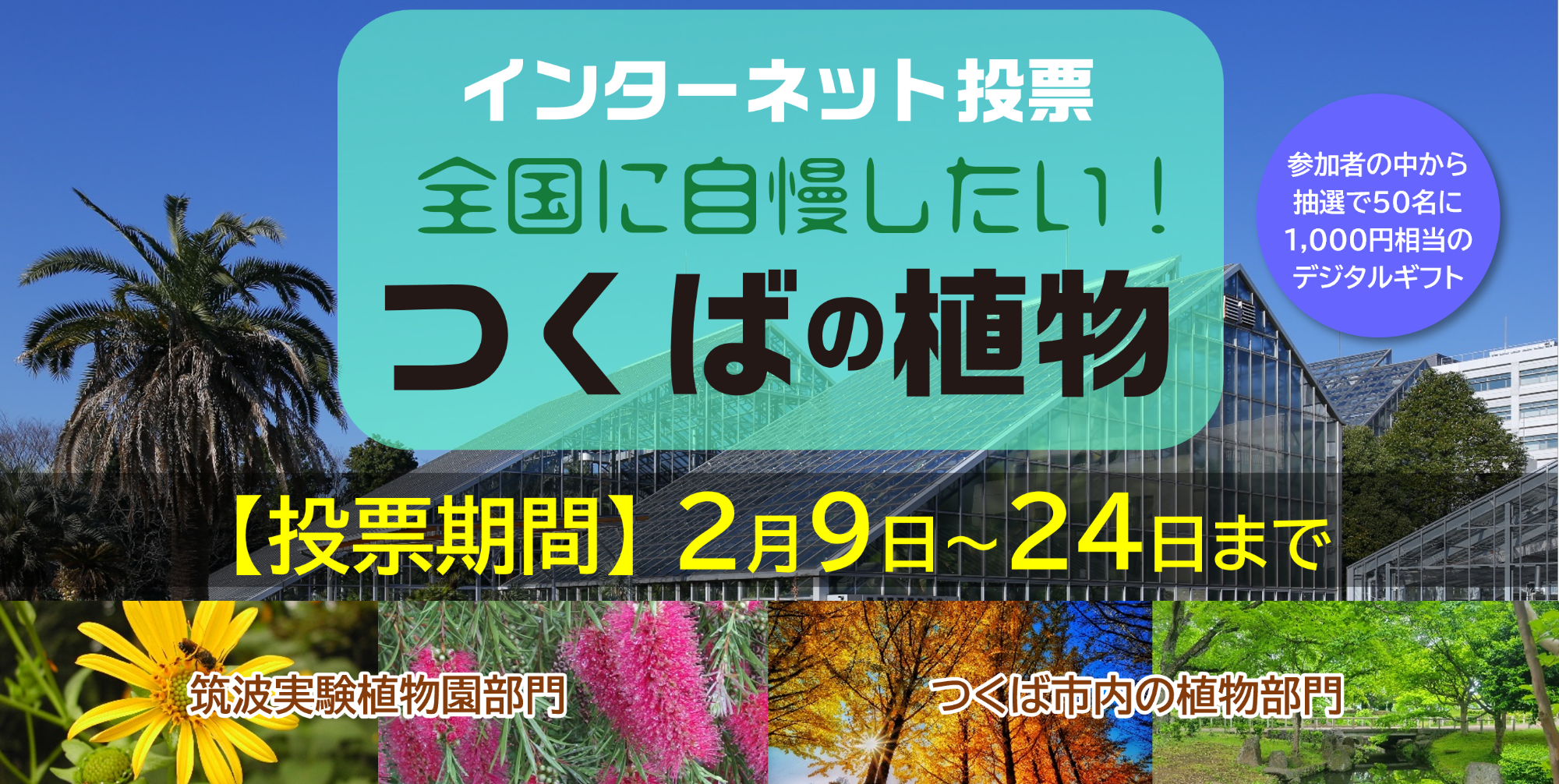つくば市映えスポット＆インターネット投票【つくばの植物】