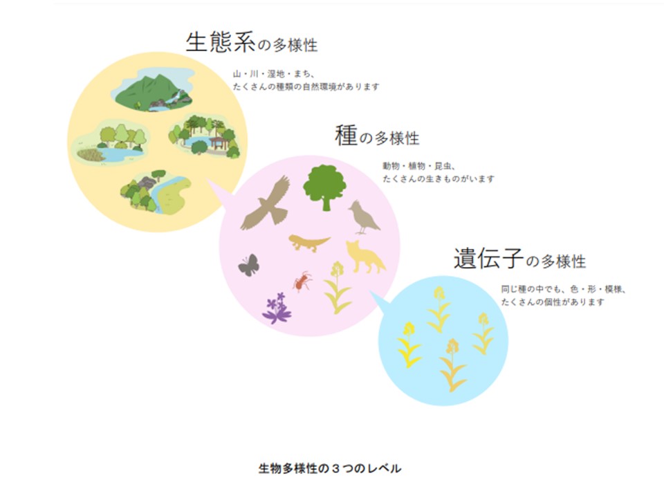 生物多様性3つのレベル