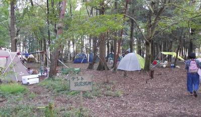 多くの方がテントを立てているキャンプ場の写真