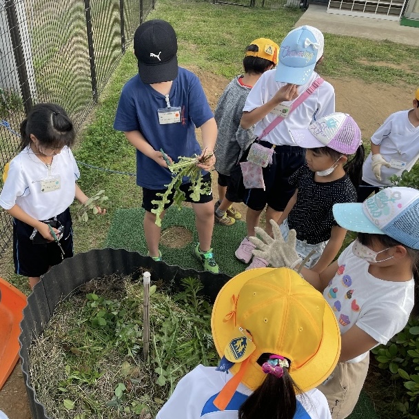 みどりの学園児童クラブ活動画像1