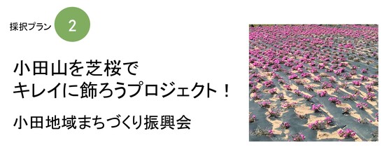 採択プラン2 小田山を芝桜でキレイに飾ろうプロジェクト！小田地域まちづくり振興会