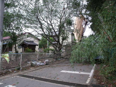家屋の壁の様な大きな瓦礫や、倒れた木によって曲がった柵などが写る下西高野公民館付近の被害状況の写真