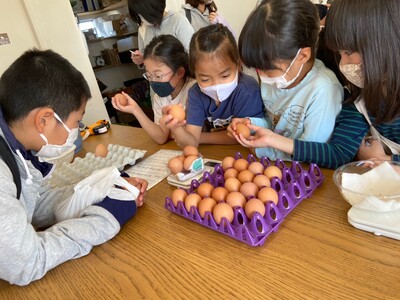 並べられた卵を選別する子供たちの写真