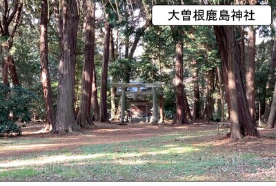 大曽根鹿島神社の外観写真