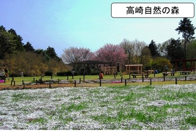 高崎自然の森の公園の写真