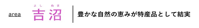 area吉沼 豊かな自然の恵みが特産品として結実