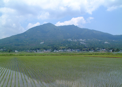 背景の山が反射して写っている田んぼの写真