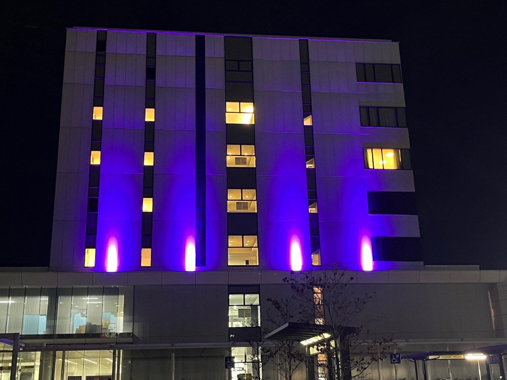 パープルライト02