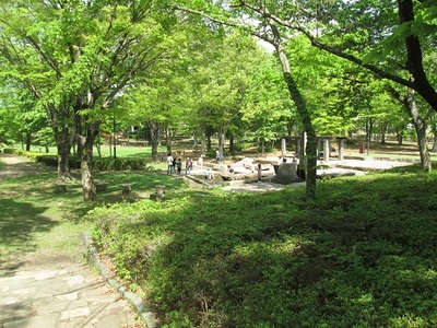 緑が広がっている近隣公園の写真