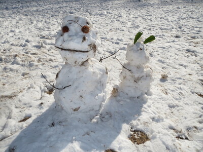 できあがっていた、可愛い雪で作った仲間も思わず写してきました。