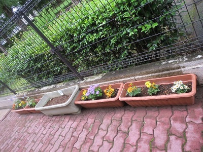 プランターに植えられたかわいい小花などが玄関前に並べられた写真