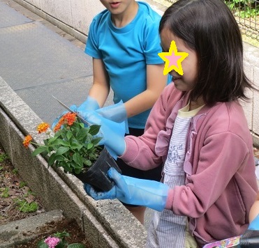 にこにこで花植え開始