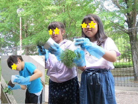 そおっととりだすよ