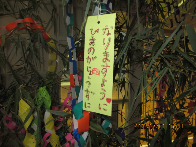短冊