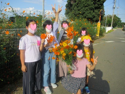 オレンジや黄色のキバナコスモスの花摘みをした子供たちの写真