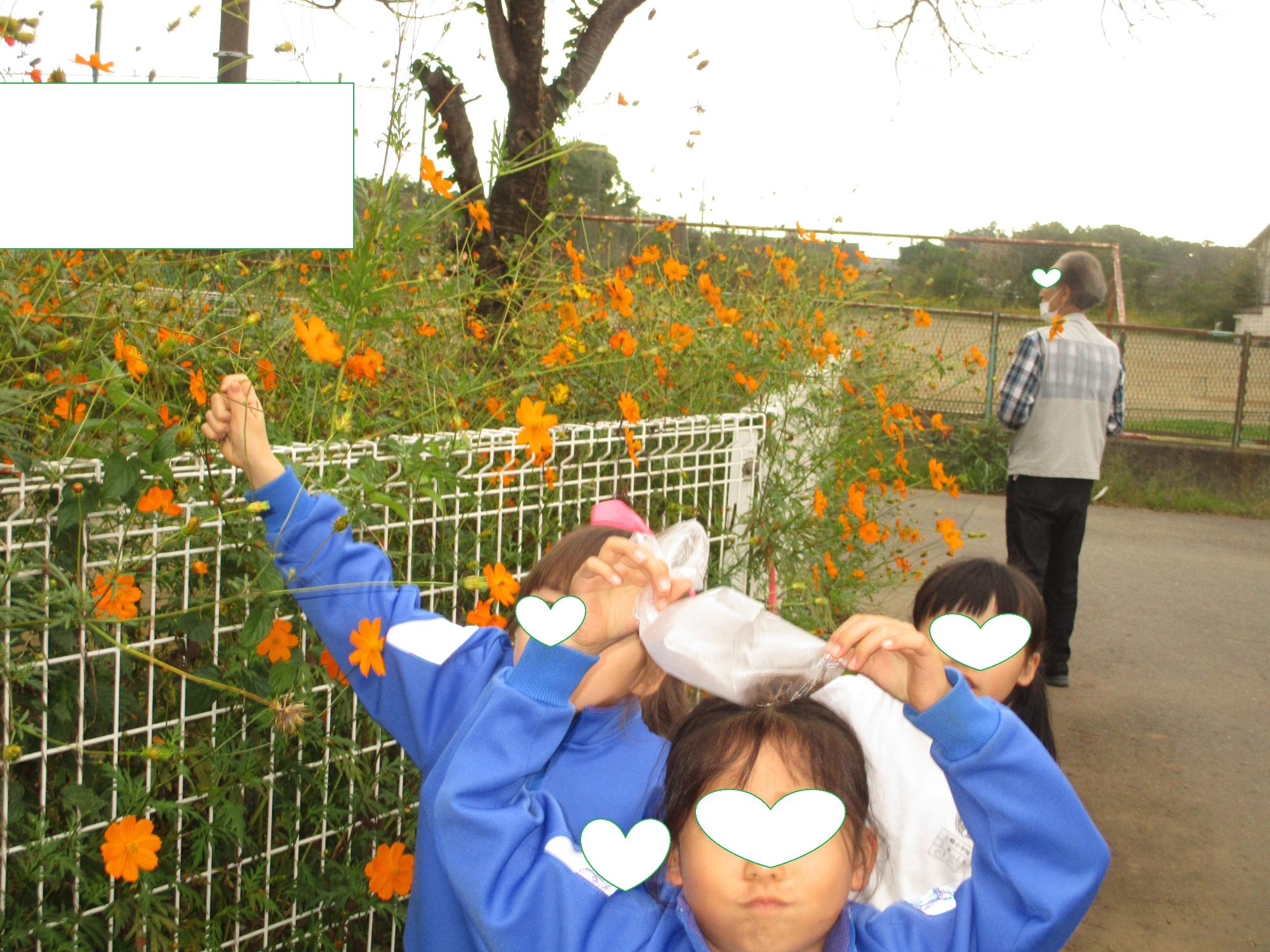 きれいな花がたくさん咲いてテンションも上昇