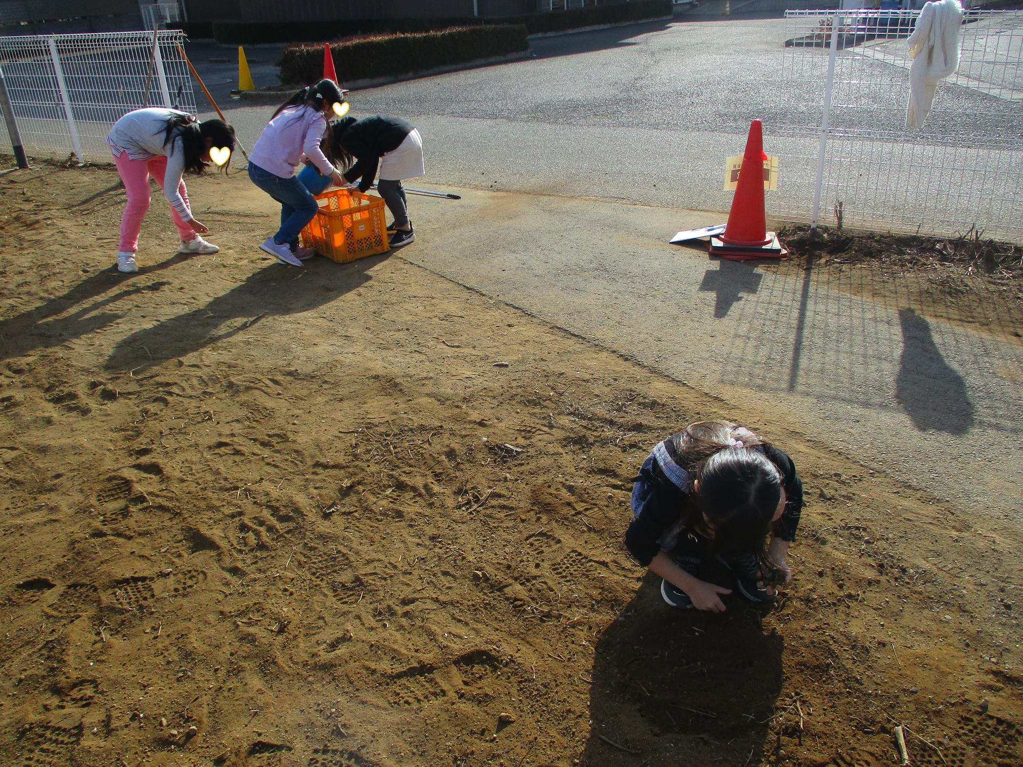 拾っては数えて数えては拾った石