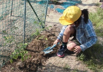 女の子がスコップで土を耕している様子