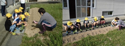 先生が子どもたちにゴーヤの苗の植え方を教えている写真