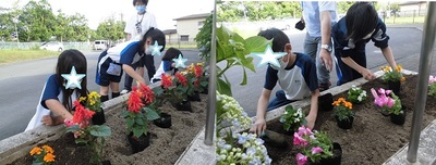 赤やピンクなどの色とりどりの花を、きれいに並べて飢えている子供たちの写真