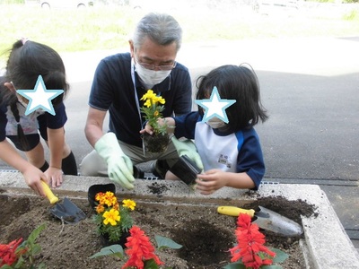 花壇を掘り先生と黄色い花を植えている子供の写真