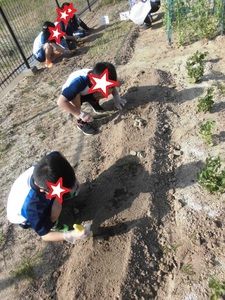 きれいに整えた土に丁寧に種を植える子供たちの写真