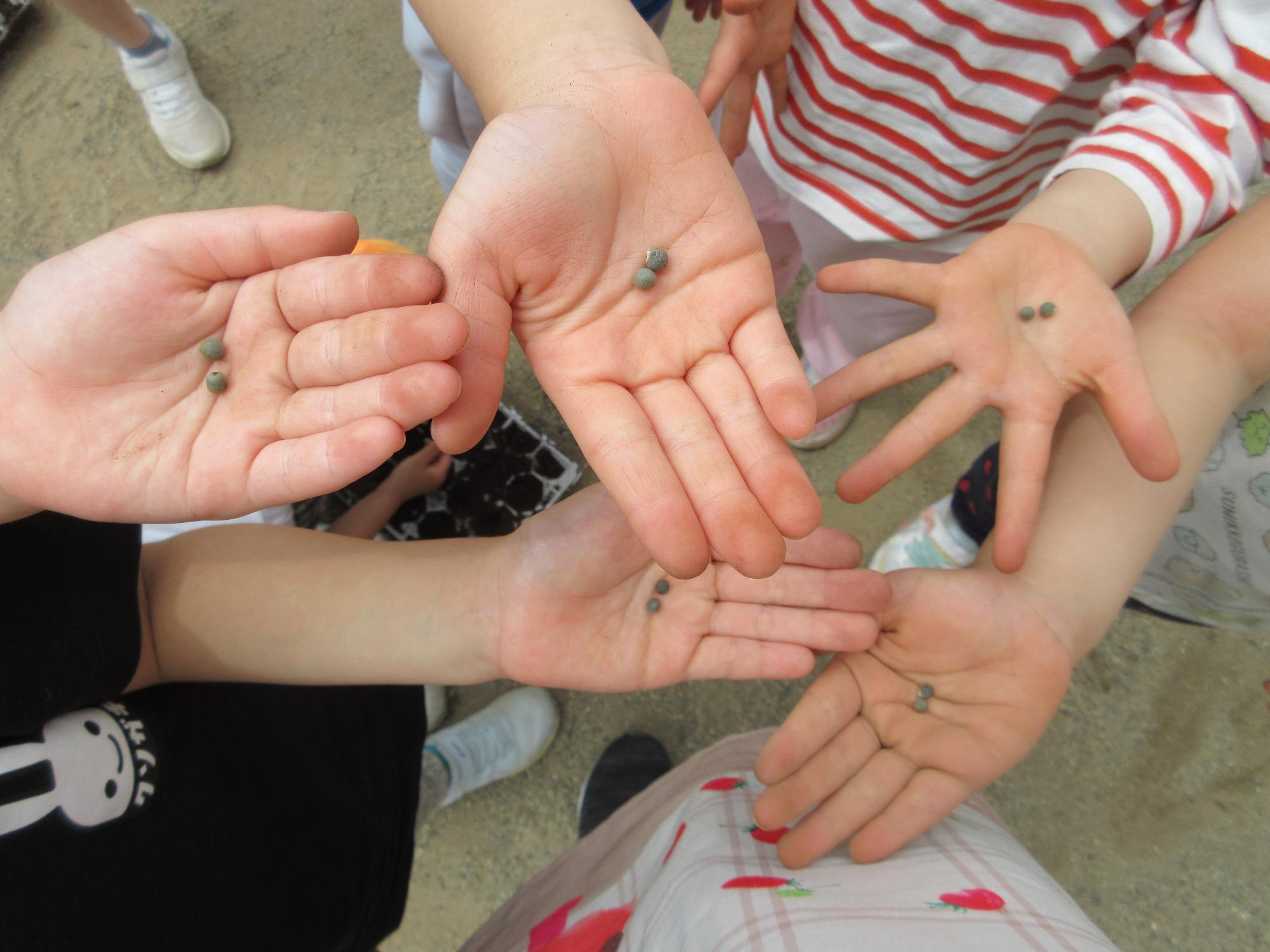 5人の子供の手に種が2つずつのっています。