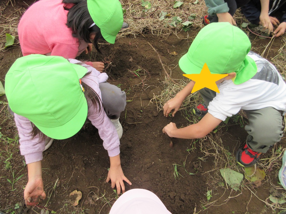 芋を掘る子ども