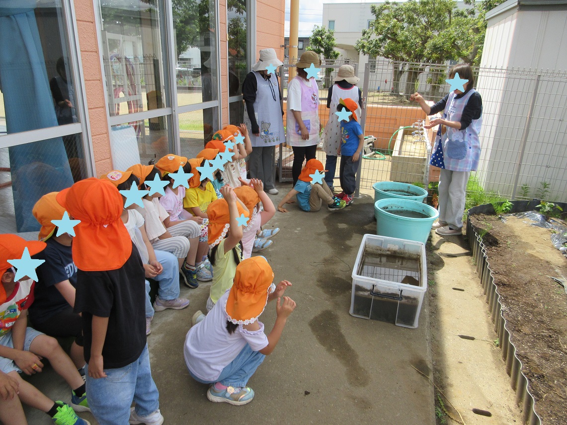 taue01