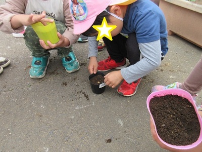 子ども達がカボチャの種を植えている様子の写真