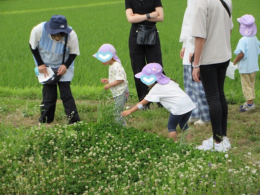 お花も咲いています。きれいです。