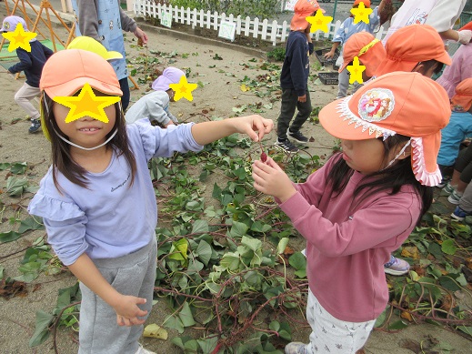 小さな芋を発見し笑顔を見せる子どもたち