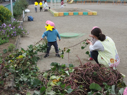 芋づるを引くばら組