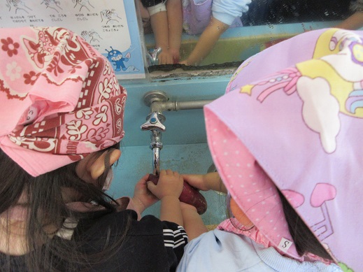 さつま芋を洗う、ゆり組