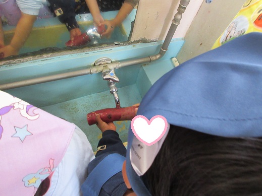 さつま芋を洗う、ゆり組