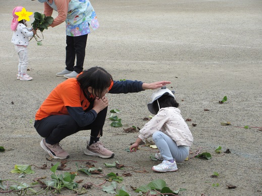 初めての芋づるに触れる様子