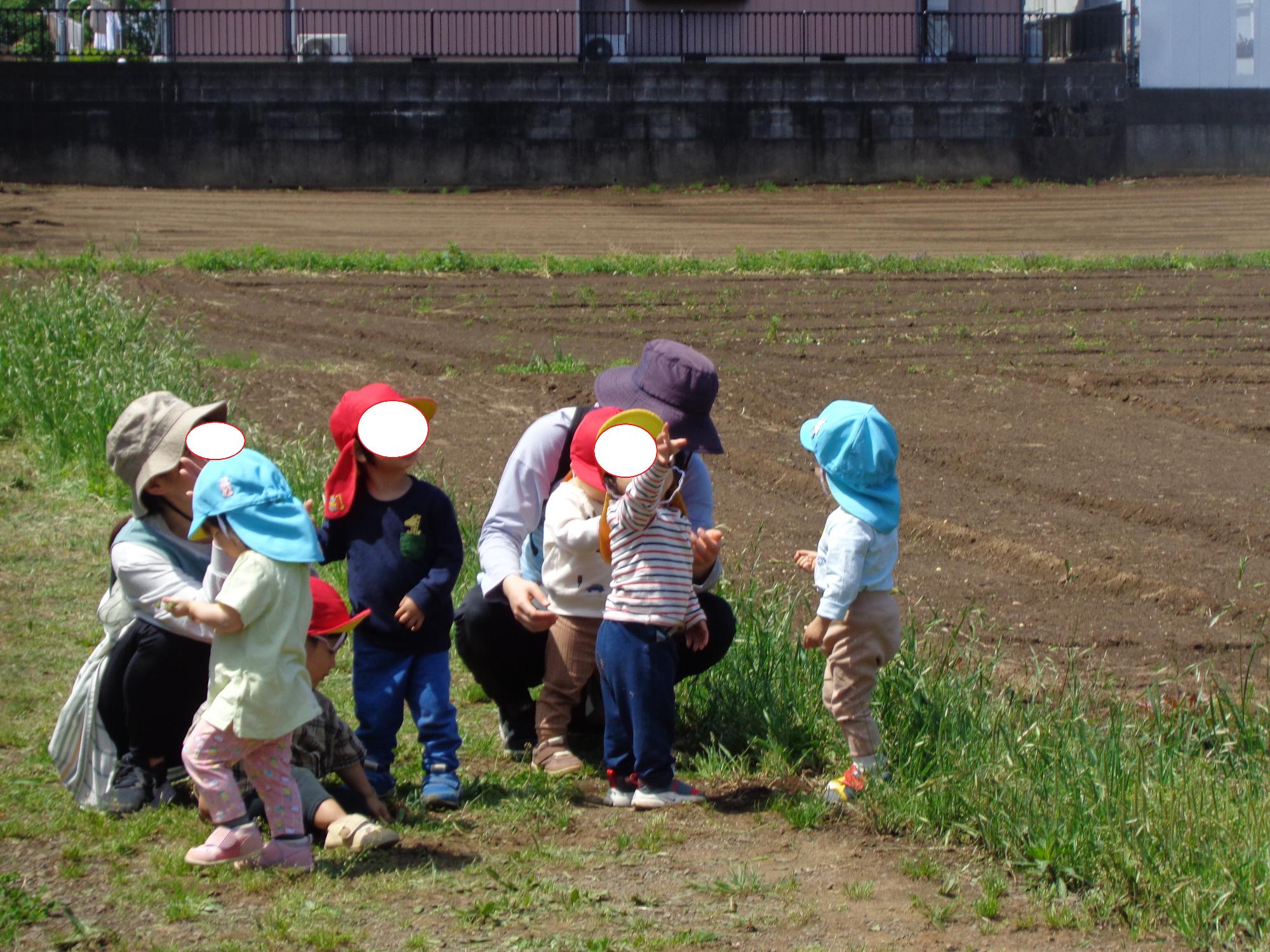 空を見上げる子ども