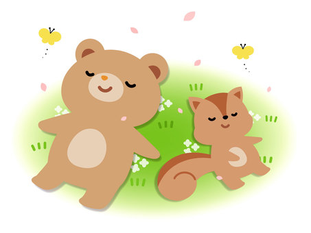 草原で寝そべるクマとリス