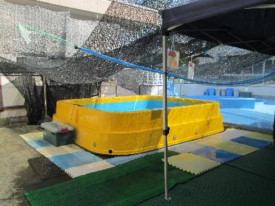 遮光ネットを日陰を作る