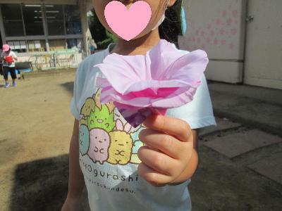 朝顔の花を重ねて持っています